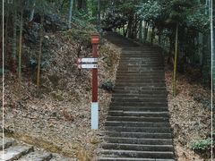 -仙霞关景区