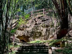 -铁山坪森林公园