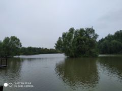 -大湾区中央湿地公园