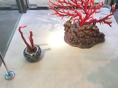 -绮丽珊瑚(台北101旗舰门市店)