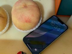 -老袁家蜜桃农场·阳山水蜜桃