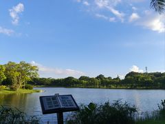 -东莞植物园
