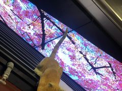 -将太无二·北美传奇寿司(荟聚购物中心西红门店)