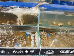 水产区-圣罗巴海鲜自助(黑金店)