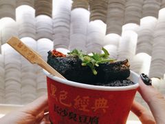 -黑色经典臭豆腐·湖南特产(坡子街店)