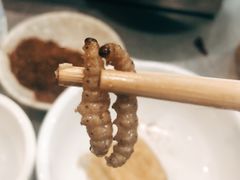 -石屏老字号4号包浆豆腐美食城(泼水广场店)
