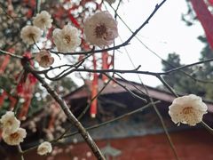 -七曲山风景区