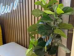 -必胜客(玉泉远洋店)