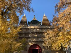 -北京石刻艺术博物馆(五塔寺)