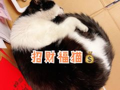 -樱の花亭日本料理店