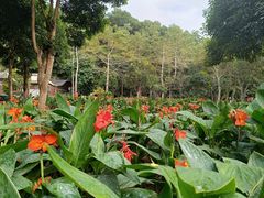 -阳台山森林公园