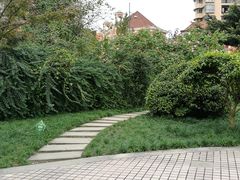 -神仙树公园