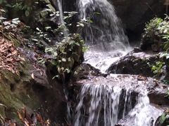 -莫里热带雨林景区