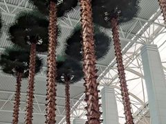 -广州白云国际机场-T2航站楼