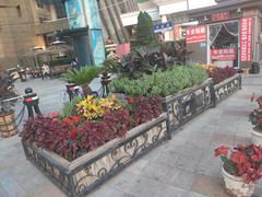 -小白楼1902欧式风情街