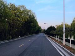 -羊山湖公园