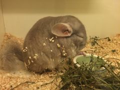 -龙猫仔乐园(惠福东路店)