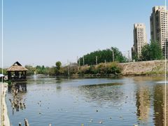 -前关湿地公园