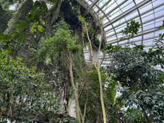 -昆明植物园