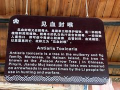 -海南槟榔谷黎苗文化旅游区