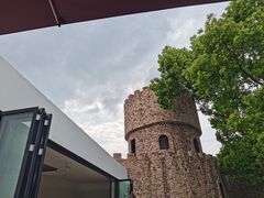 -J Create城市露营咖啡·简餐·宠物(上海动物园店)