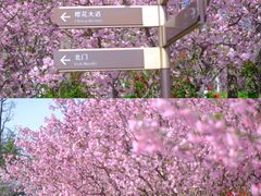 -大宁公园