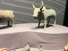 -广西壮族自治区博物馆