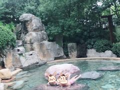 -天目湖涵田半山温泉