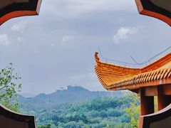 -深圳仙湖植物园