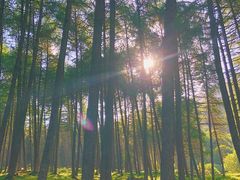 -硗碛藏寨·神木垒景区