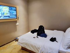 -JOYA湾悦国际酒店(世界之窗店)