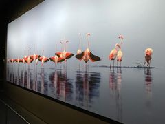 -罗红摄影艺术馆