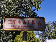 -三里屯东五街银杏大道