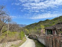 -云岫谷游猎自然风景区