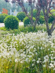 -优沃得自然教育农场·冰雪乐园·生日会·研学