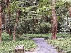 -杭州植物园