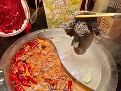 -山城棒棒军手作火锅·天花板手撕水牛鲜毛肚(北京店)