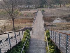 -贡湖湾湿地公园