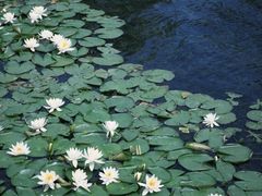 -西湖天地