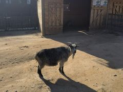 -北京市海淀外国语实验学校