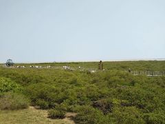 -北海金海湾红树林生态旅游区