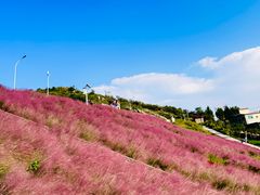 -沂蒙云瀑洞天景区