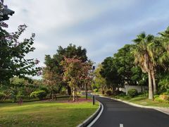 -天悦阁海景酒廊