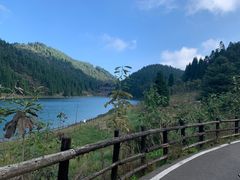 -武陵山森林公园