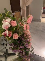 -尊尚柏丽美容SPA