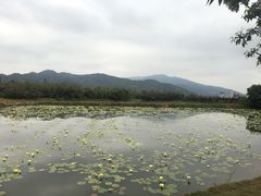 -御霞苑泥烩鸡休闲农庄