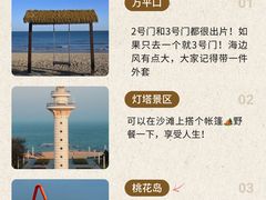 -日照海滨国家森林公园