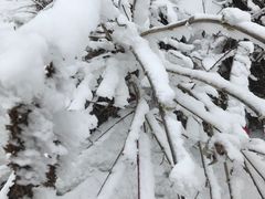 -太子岭滑雪场