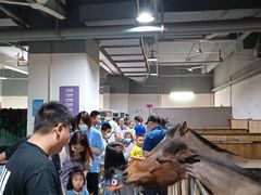 -李振强马术运动推广中心(南城店)