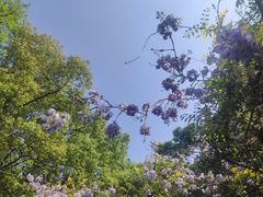 -宅里香.自然餐厅(湘大店)